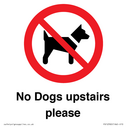 no-dogs-upstairs-please-~